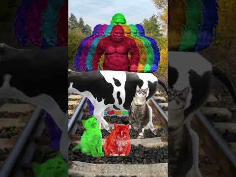 3 different colors Cute cats vs 8 Gta 5 bigfoot & train driver tom...