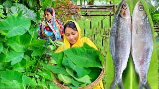 কচুপাতা বাটা সাথে নদীর আমলেশ মাছের টমেটো দিয়ে তেলঝাল রান্না আর এই দিয়ে দুপুরে গরম গরম ভাত খাওয়া