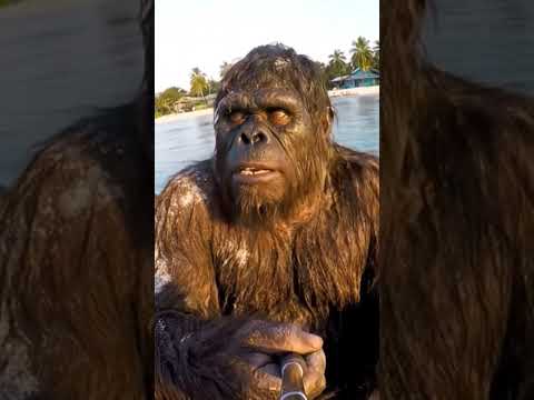 Bigfoot finds some booger sugar #shortsfeed #funny #shortsbeta #bigfoot