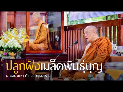 ปลูกฝังเมล็ดพันธุ์บุญ : 4 พ.ย. 67 เช้า ณ สวนแสงธรรม | หลวงพ่ออินทร์ถวาย สันตุสสโก