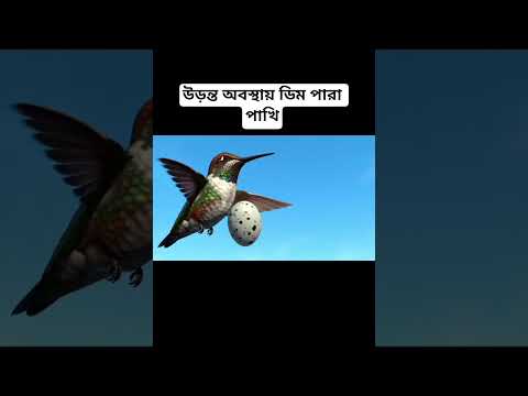 mizanur Rahman azhari status Huma Bird #আল্লাহু_আকবার #মিজানুর_রহমান_আজহারী #সুবহানাল্লাহ