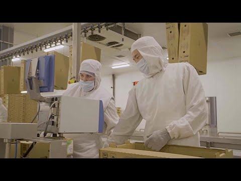 YouTube video thumbnail: How This Country Is Building a Regional Food Processing Hub