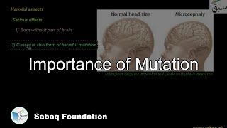 Importance of Mutation