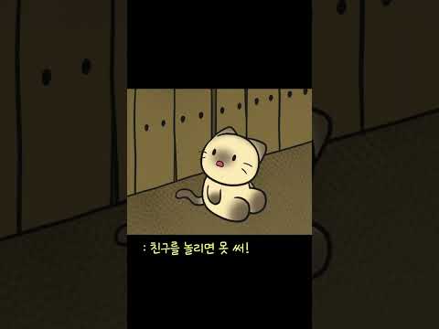 고양이 털색과 무늬에 담긴 재미있는 사실