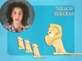 Natural Selection and Survival Traits