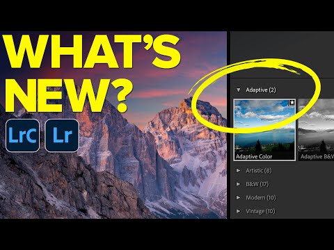 Adaptive Profiles and New Lightroom Features (Feb 2025)