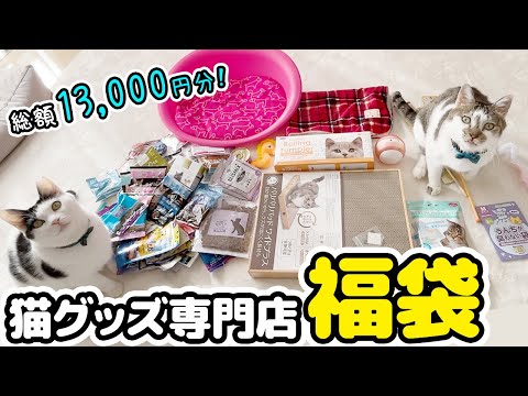 猫グッズ専門店の福袋を開封したら中身が豪華すぎた【福袋開封】