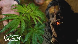 El país donde la marihuana es legal solo un día al año | La guerra contra las drogas