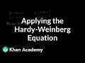 Applying the Hardy-Weinberg Equation for Allele Frequencies