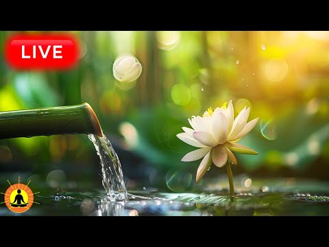 &#128308; BEST RELAXING MEDITATION MUSIC 2025: Peaceful Yoga Music for Mental Clarity | Full Body Meditation