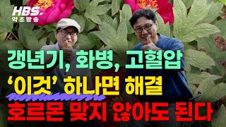 갱년기, 화병, 고혈압 이 뿌리하나면 해결 호르몬 맞지 않아도 된다