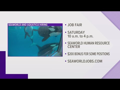 Seaworld San Antonio Job Fair Jobs Ecityworks