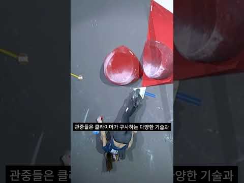 똑똑한 사람이 클라이밍하는거야? 클라이밍하면서 똑똑해지는거야?