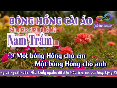 Karaoke Bông Hồng Cài Áo | Bolero | Tone Nam Trầm (Em,Tp:110) | Quốc Dân Karaoke