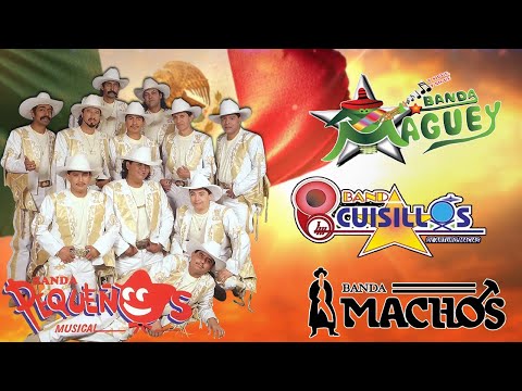 Banda Cuisillos, Pequeños Musical, Banda Machos, Maguey... y Más - Lo Mejor de la Banda Romántica