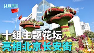 纪念抗战胜利80周年，十组主题花坛亮相北京长安街；铭记历史缅怀先烈，展现抗战精神；花坛景观将一直延续摆放至国庆 20250828 | LIVE NOW《共同关注》