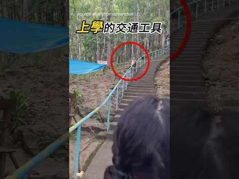 學生們的上學通道