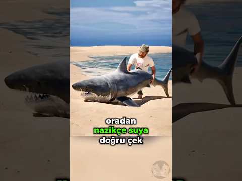 Köpekbalığına Yardım Etmeye Çalışmak! 🦈🌊😱