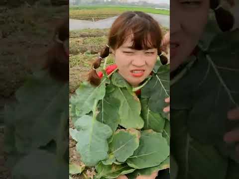 Hà Sam Một Ngày Làm Nông Dân Hài Hước #Shorts