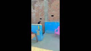 Mayank Ki Videos