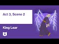 Lear's Madness and the Storm