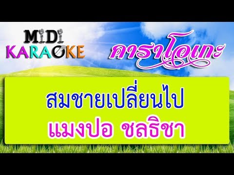 สมชายเปลี่ยนไป – แมงปอ ชลธิชา | MIDI KARAOKE มิดี้ คาราโอเกะ
