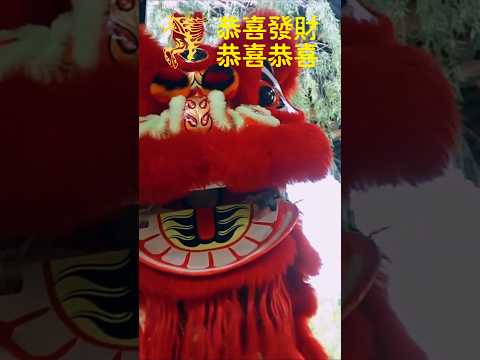 欧俪雯SHARON AU I 恭喜发财+恭喜恭喜 #欧俪雯 #翻唱 #恭喜发财 #恭喜恭喜