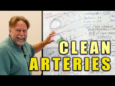 Clean Arteries