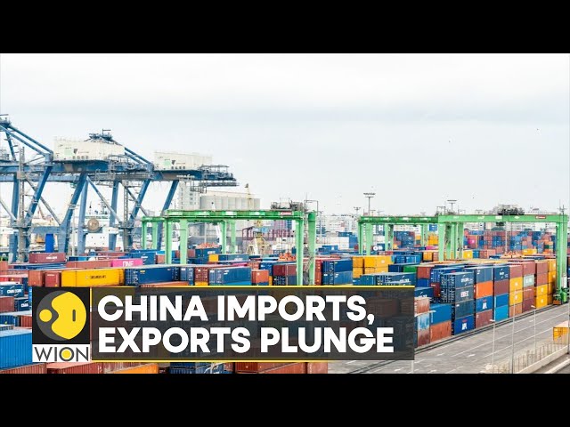 China's imports, exports plunge in warning sign for economy