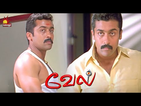 இங்கயே உன்ன கொத்தி போட முடியும் | Vel Compilations |  Suriya | Asin | Vadivelu