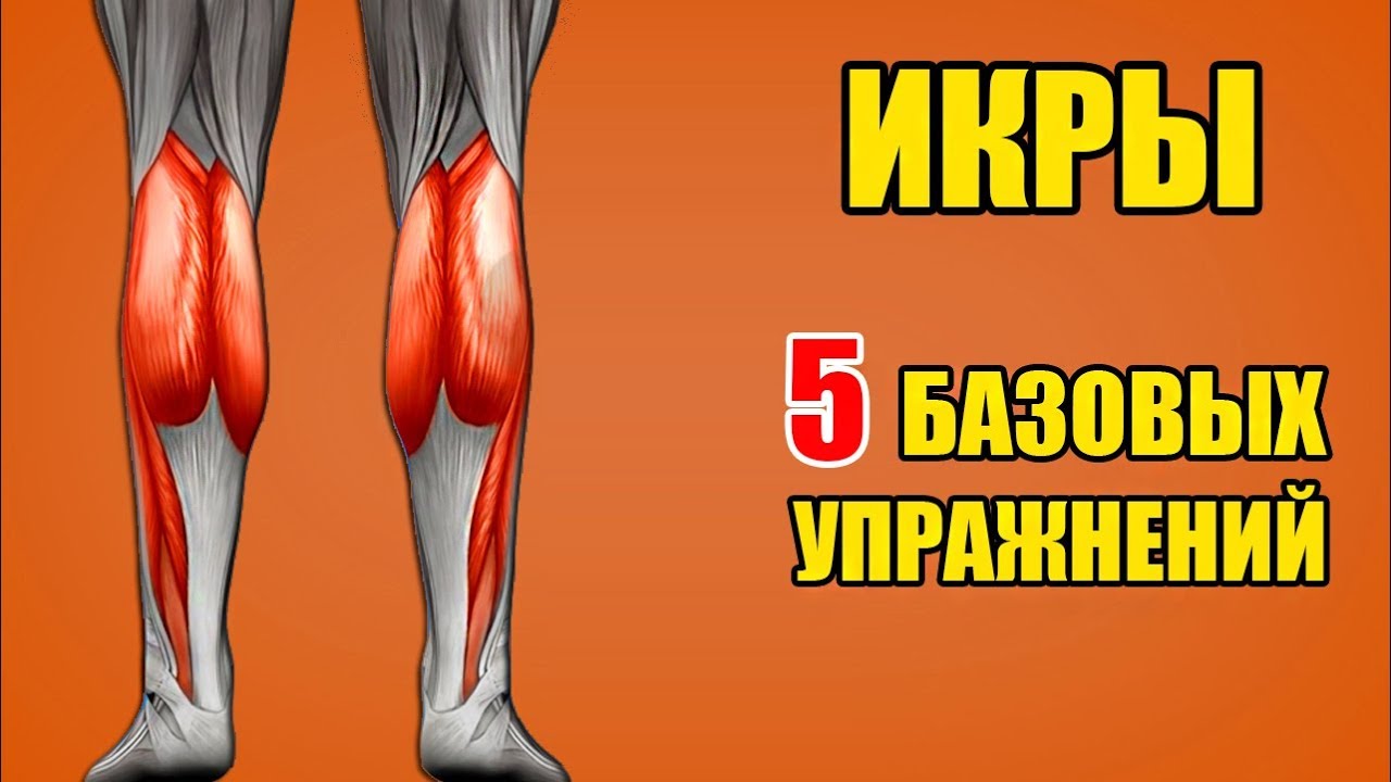 ИКРЫ. 5 базовых упражнении. Техника / Биомеханика - Икроножные мышцы
