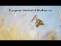 Ecosystem Services and Their Value