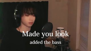 Made You Look - Bass cover
