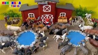 Animales de la granja 🐴🐮 Familias de animales : Vacas Toros Caballos Patos y mas ✨ Mimonona Stories