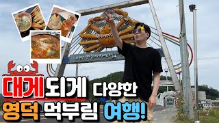 단 하루만에 즐겨보는 영덕 먹부림 맛집여행 "알고보니 대게 말고도 먹을게 많구나?"