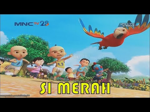 Upin & Ipin Si Merah Episode Terbaru 2020 | Upin Ipin Terbaru 2020 | Musim 13