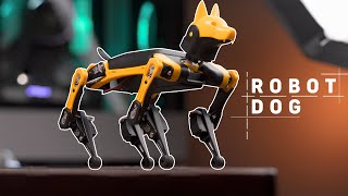 Meet My New Pet - Petoi Bittle The Bionic Dog Robot (Ep - 05)