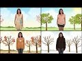 Exploring the Four Seasons: Causes and Characteristics