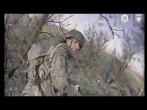 Усюди, де не бачу, і-бачу хробаків. Знимкують Птахи Мадяра.