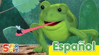 Cinco Ranitas Con Manchitas (Versión Títere) | Canciones Infantiles