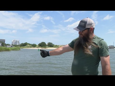 YouTube video thumbnail: Veterans to Restore Oysters and Clean Water in Virginia Beach