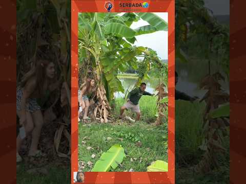 mau ketawa takut dosa nebang pisang(tiktok hiburan) #funny #comedy #humor #ตลกฮาฮา #funnyvideo