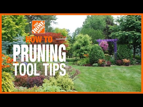 Pruning Tool Tips