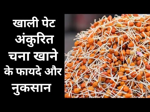 खाली पेट अंकुरित चना खाने के फायदे और नुकसान | ankurit chana khane ke fayde nuksan | chana ke fayde