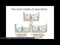 Speciation and Evolution Concepts