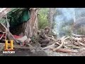 Narrator's Experiences in Nature