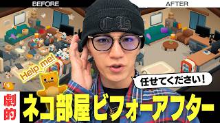 にゃるほど神山のビフォーアフター！可愛い猫に癒されながらお片付け【お掃除日和】