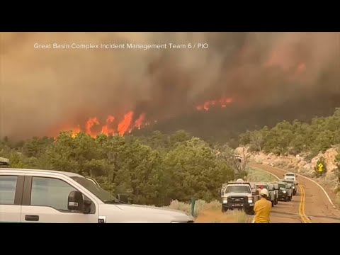 Wildfire destroys a historic Grand Canyon lodge and other structures