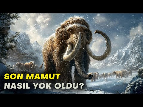 Tüm Mamutların Sonunu Getiren Gizemli Olay