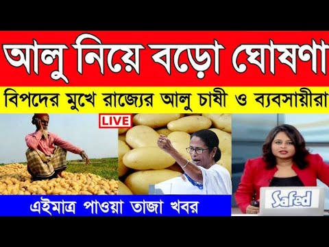 আজকের আলুর বাজার মূল্য ! india potato news West bangal ! Potato price today West Bengal